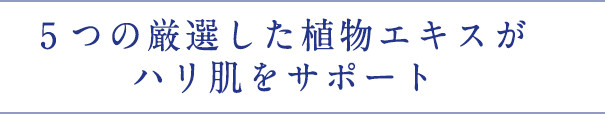肌のはたらきをサポートする12種類の植物エキスを配合