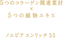 ノエビア エンリッチ 55