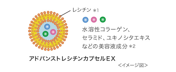 アドバンストレシチンカプセルEX