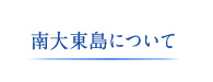 南大東島について