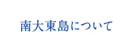 南大東島について