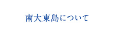 南大東島について