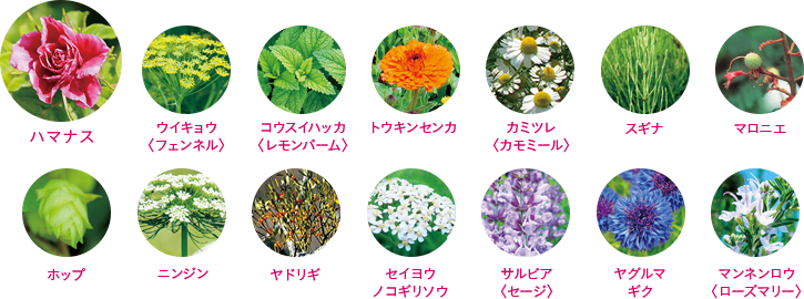 14種類の植物