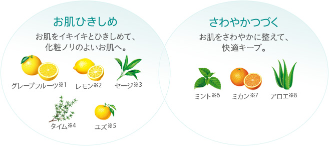 3種類のコラーゲンイメージ図