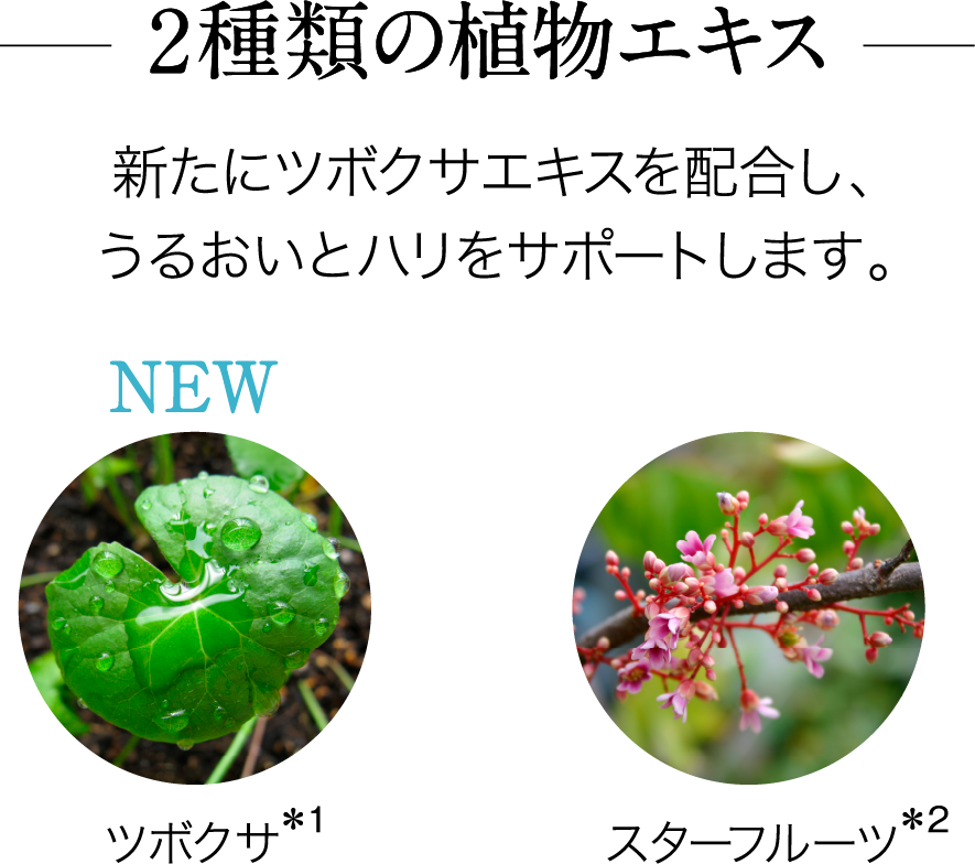 2種類の植物エキス