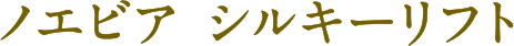 ノエビア シルキーリフト
