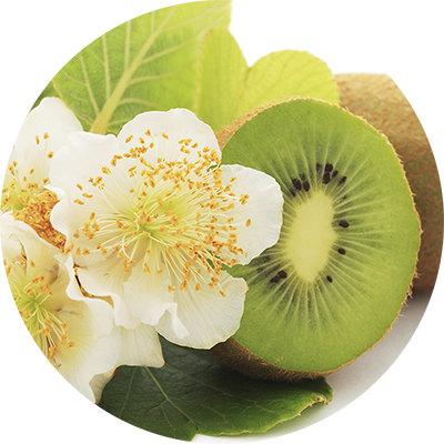 キウイ