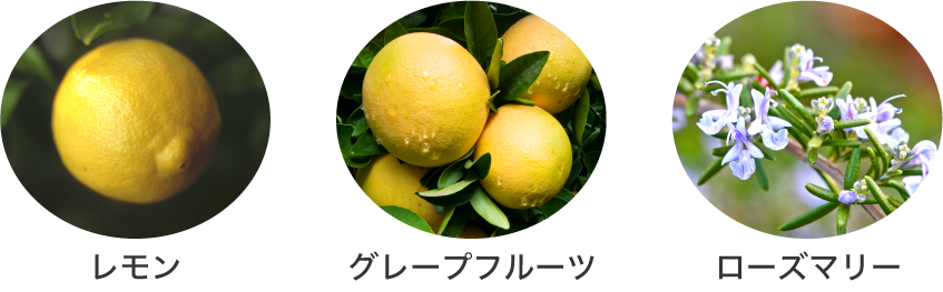 レモン グレープフルーツ ローズマリー