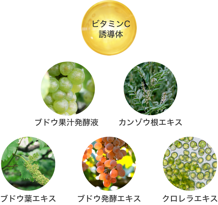 ビタミンC誘導体と5つの植物エキス
