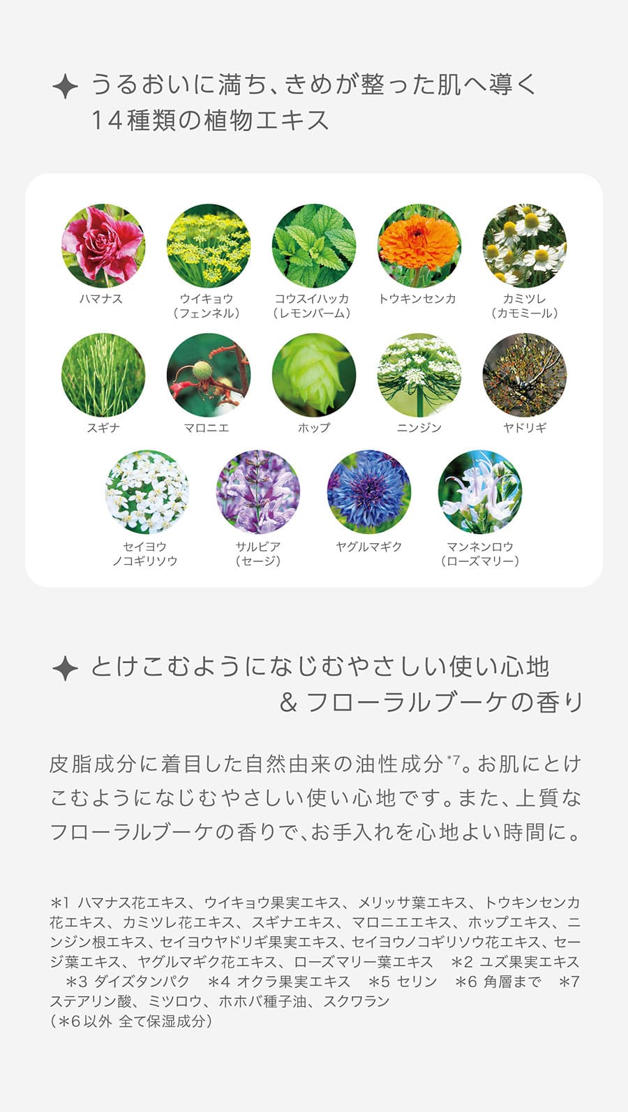 うるおいに満ち、きめが整った肌へ導く14種類の植物エキス