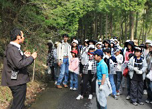 鈴鹿高山植物研究所付近の自然散策