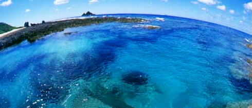 森と海の化粧品物語