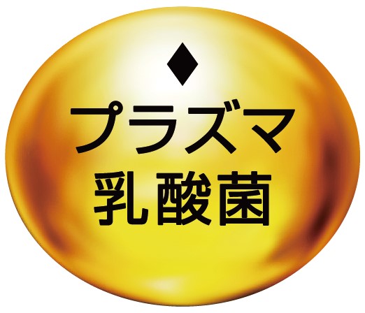 プラズマ乳酸菌