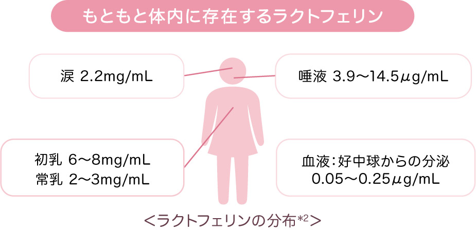 ラクトフェリンの分布図