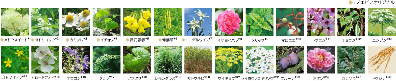 ノエビアオリジナルを含む厳選した26種類の植物エキス