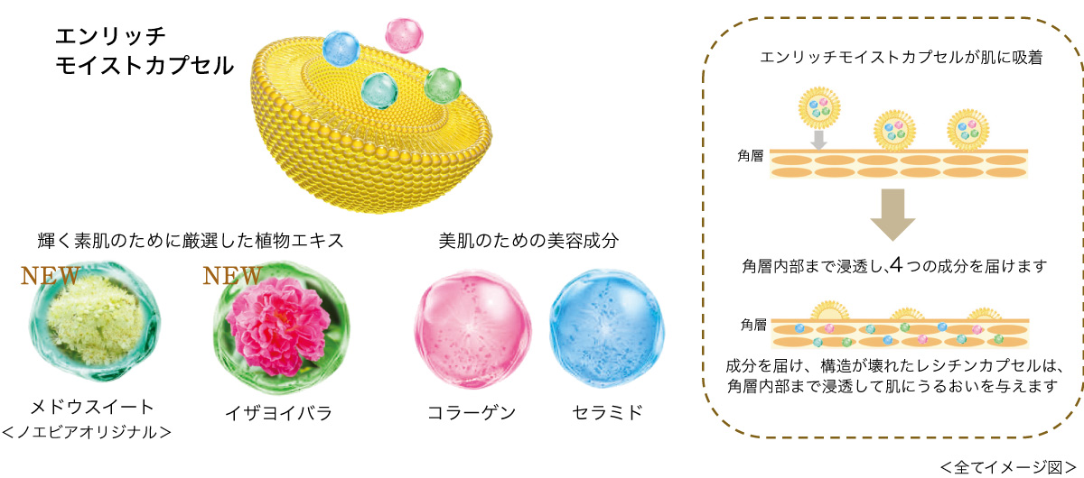 エンリッチ モイストカプセル