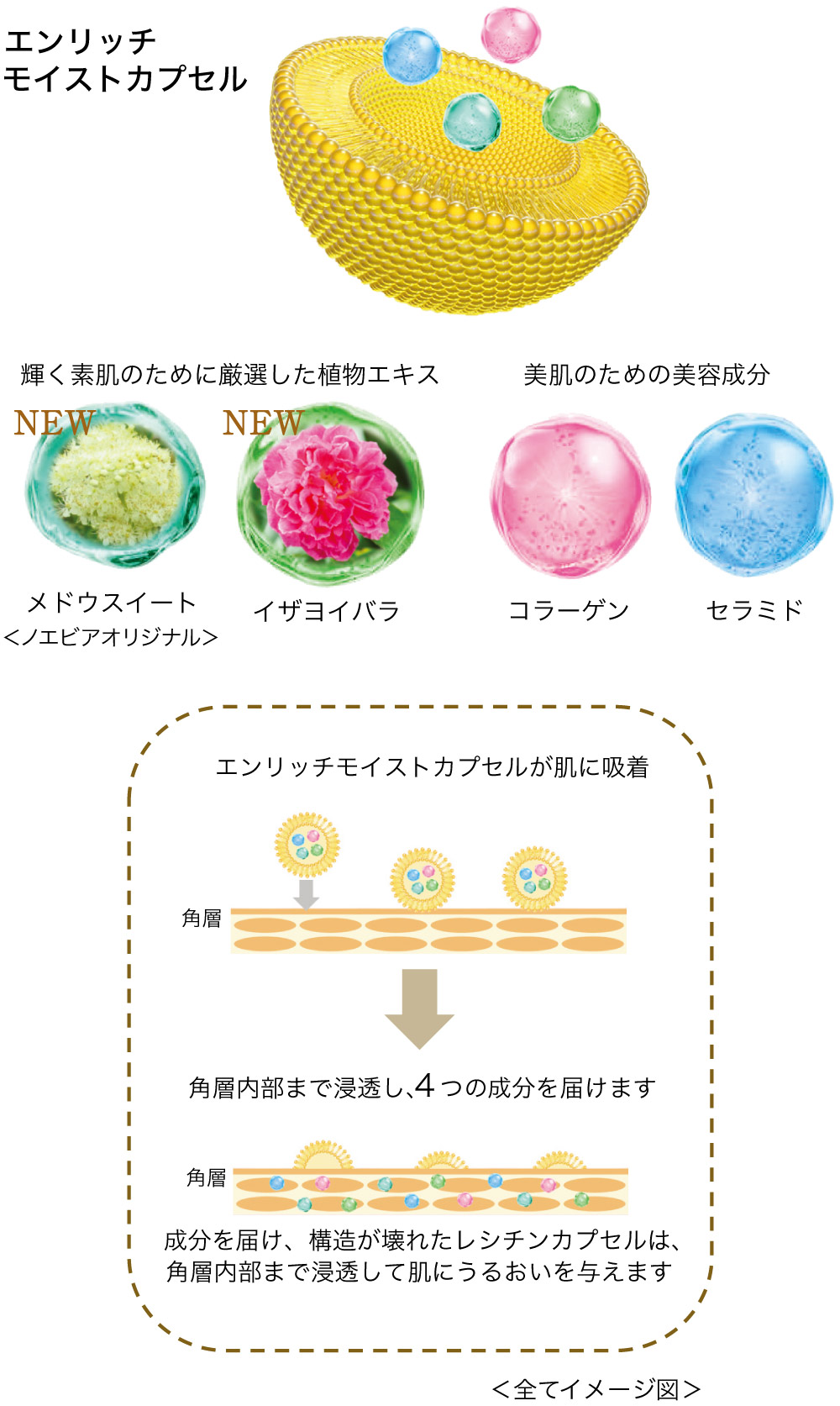 エンリッチ モイストカプセル