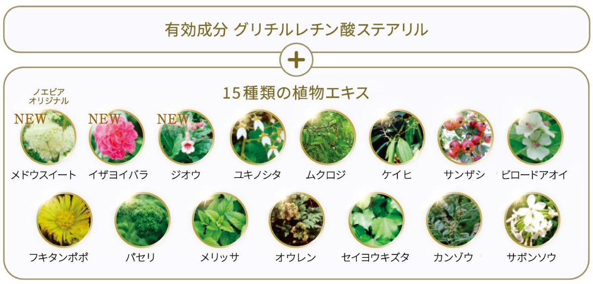 グリチルレチン酸ステアリル 15種類の植物エキス