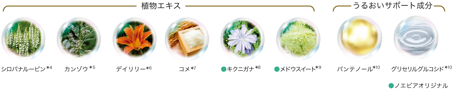 6種類の植物エキス 2つのうるおいサポート成分