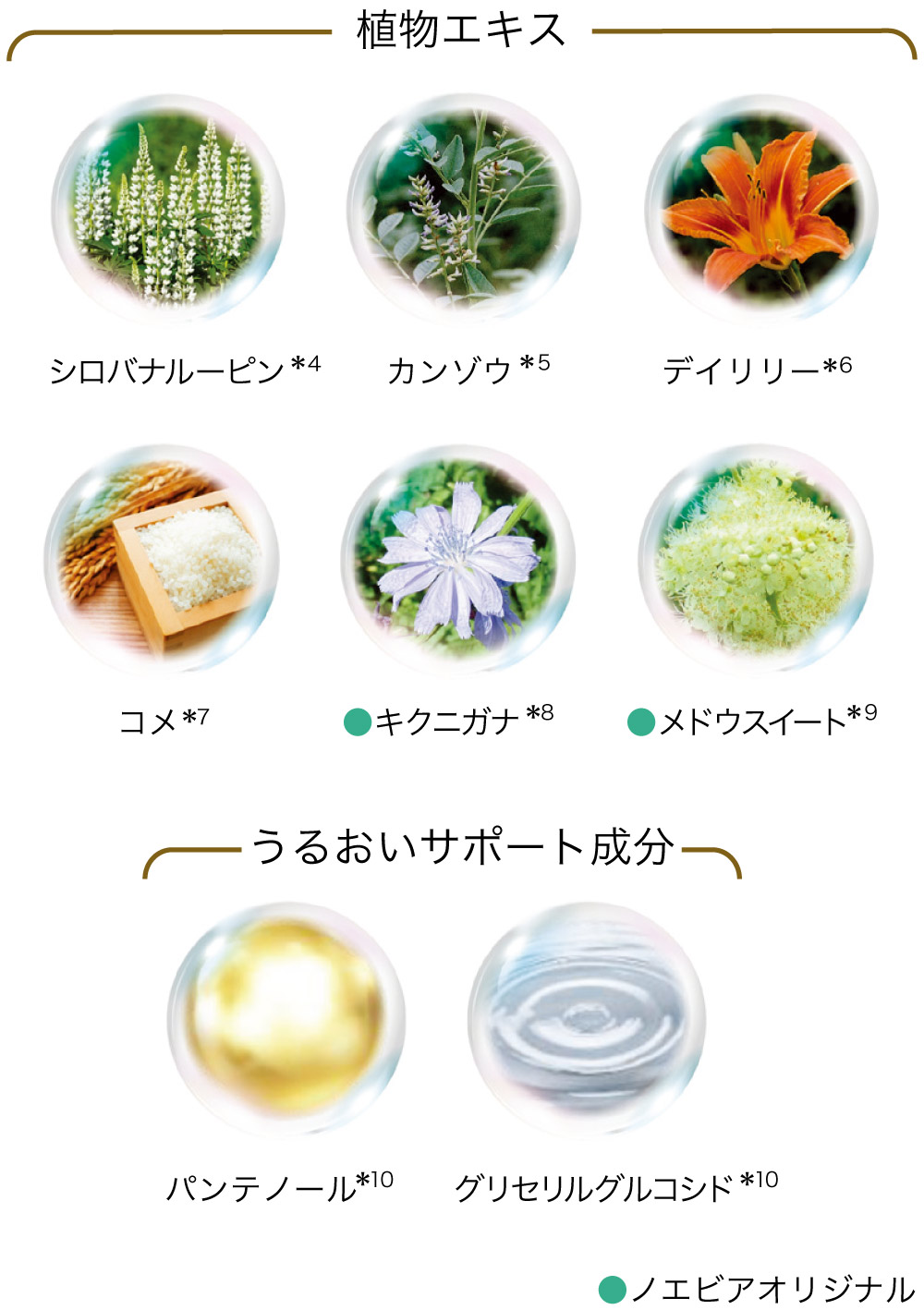6種類の植物エキス 2つのうるおいサポート成分