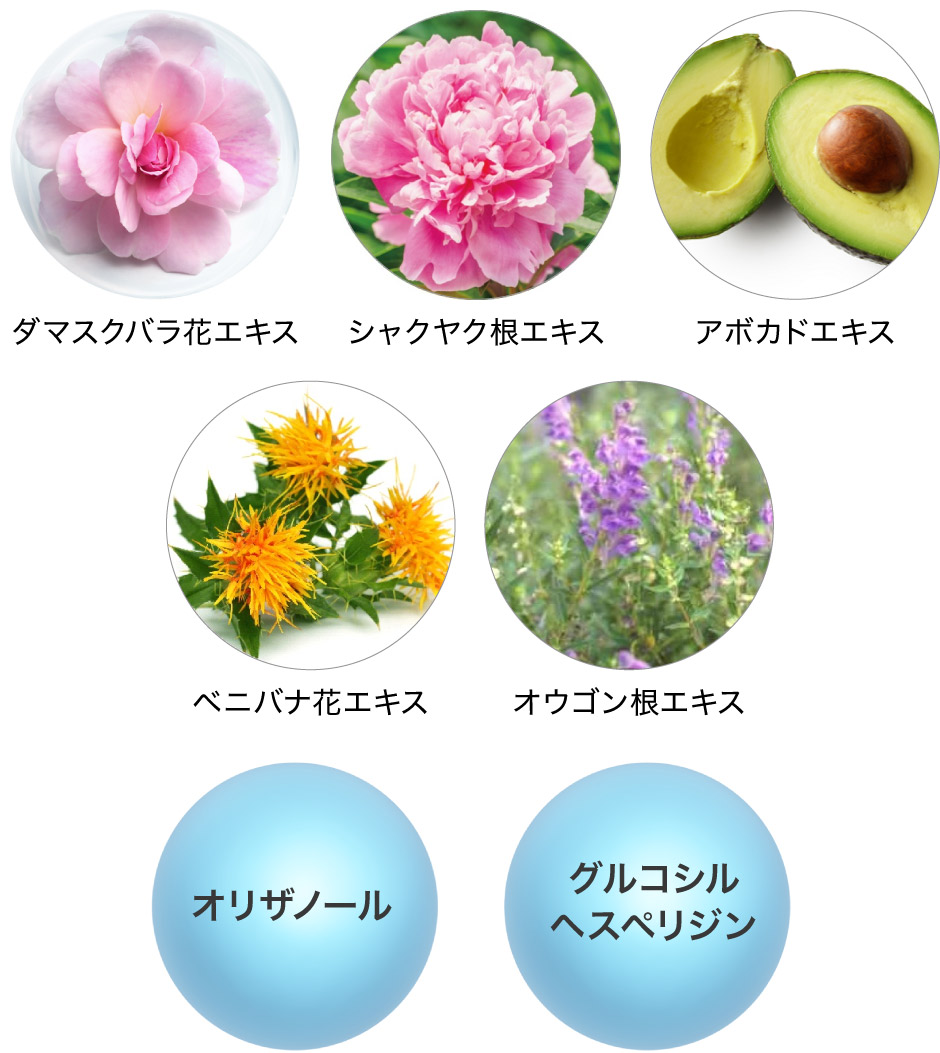 5つの植物エキスと2つの美容成分