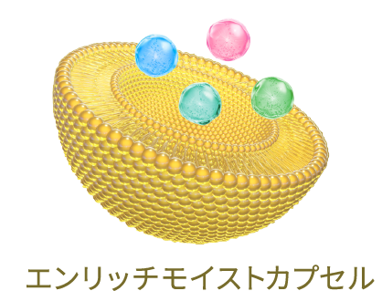 エンリッチモイストカプセル