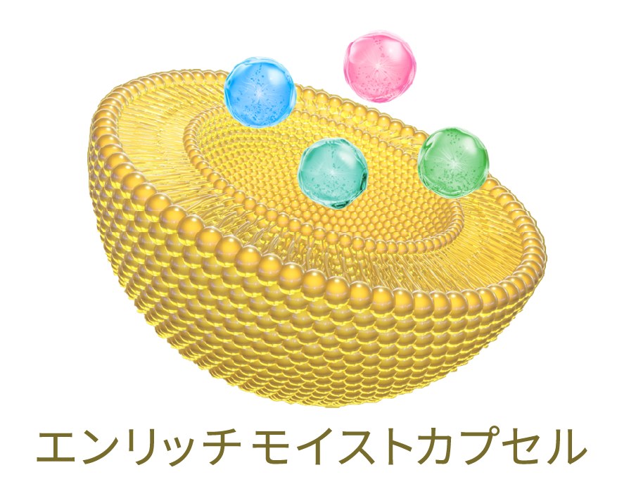 エンリッチモイストカプセル