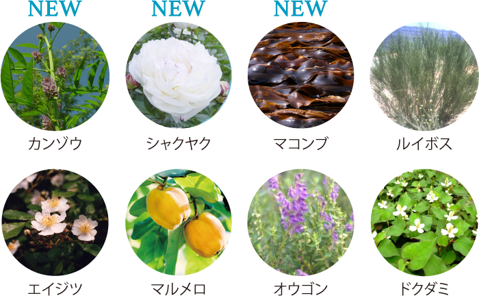 美白・肌あれ防止有効成分と高いスキンケア効果