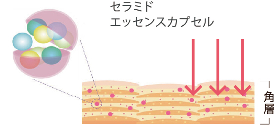 セラミドエッセンスカプセル