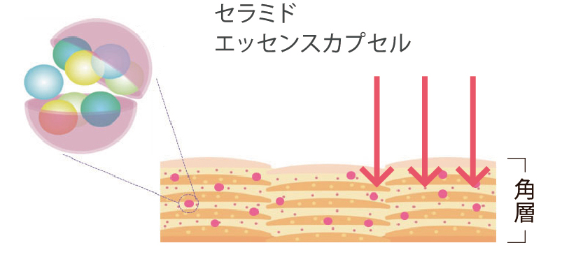 セラミドエッセンスカプセル