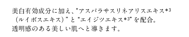 説明テキスト