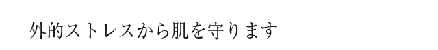 外的ストレスから肌を守ります