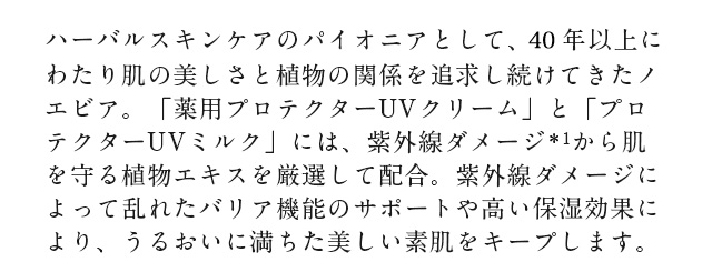 説明テキスト