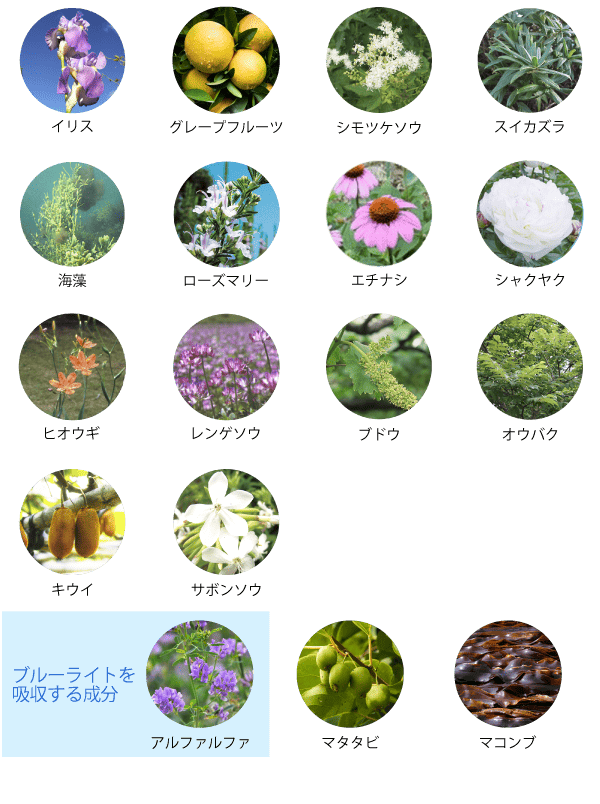 17種類の植物＆海藻エキス