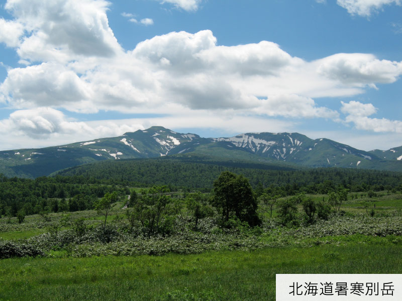 北海道暑寒別岳