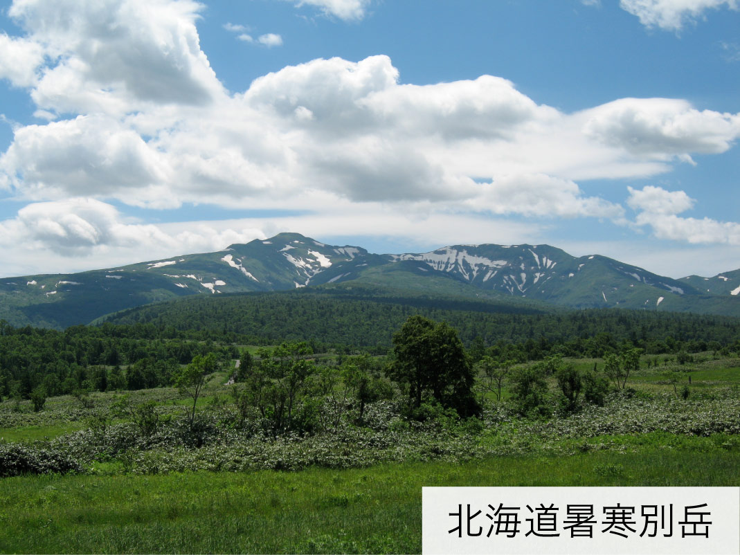 北海道暑寒別岳