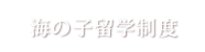 海の子留学制度