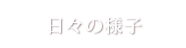 日々の様子