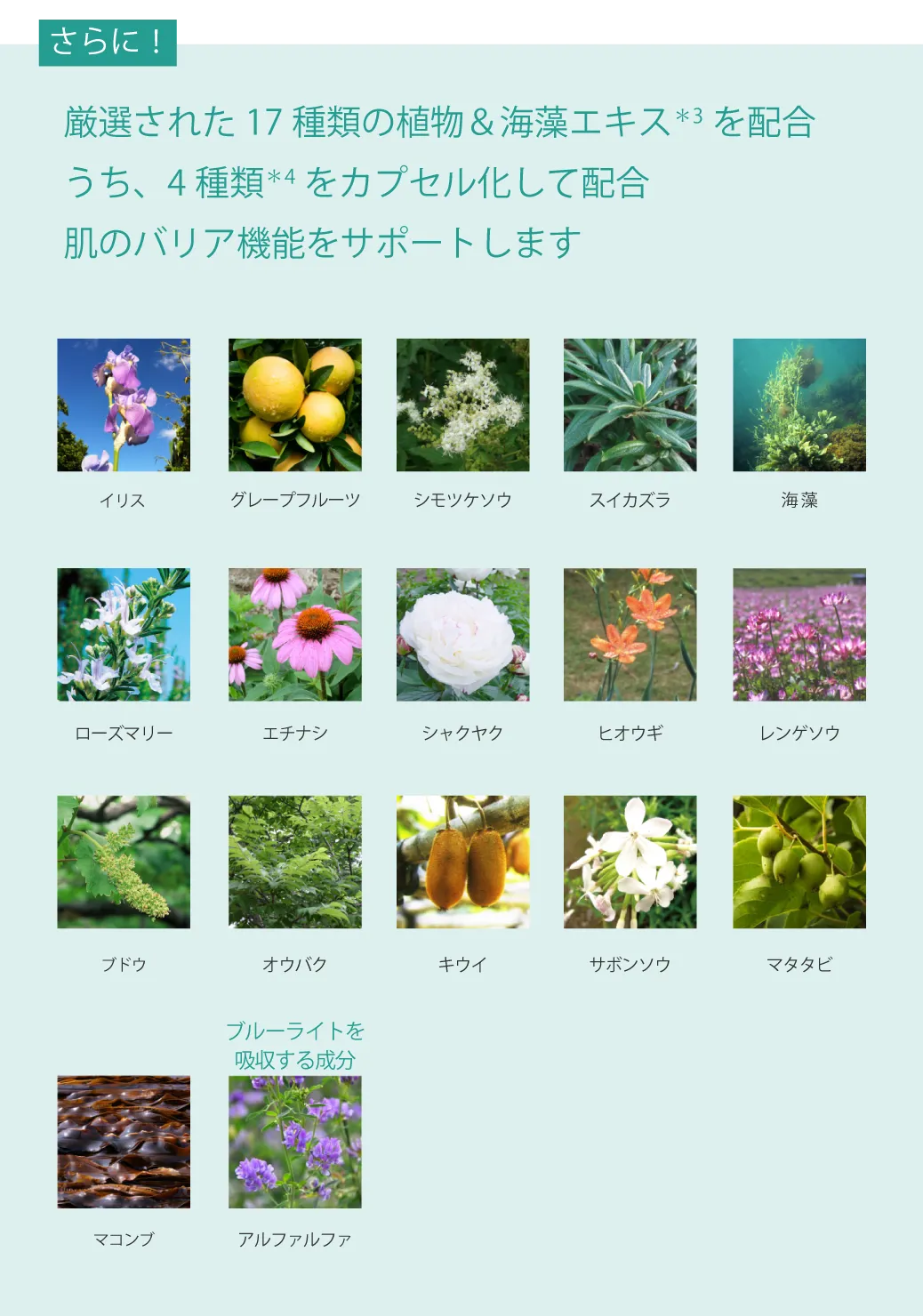 植物エキスの図