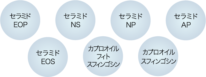 7つのセラミド関連成分