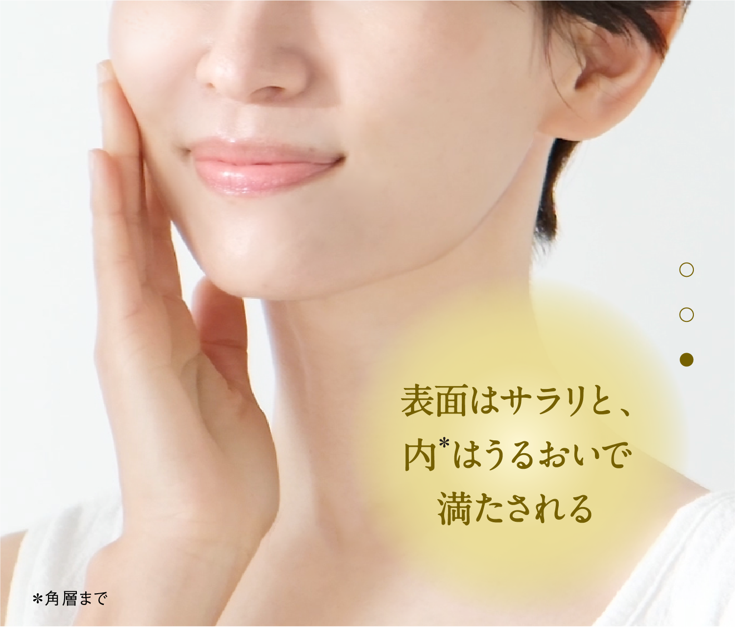 表面はサラリと、内はうるおいで満たされる