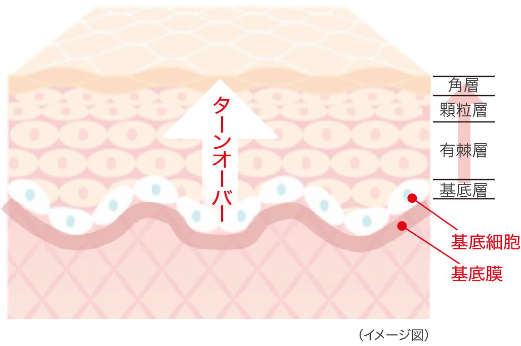 イメージ図