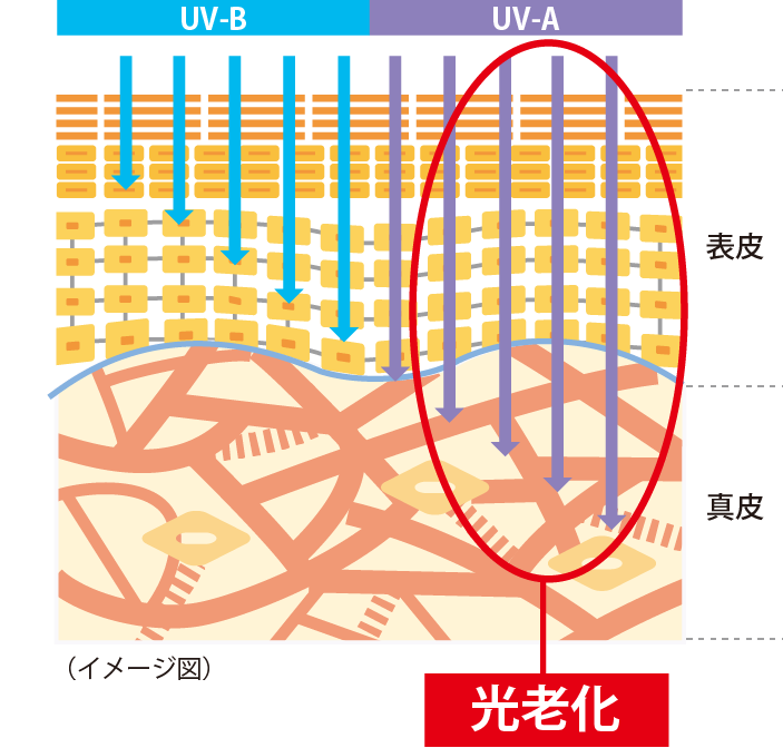 光老化