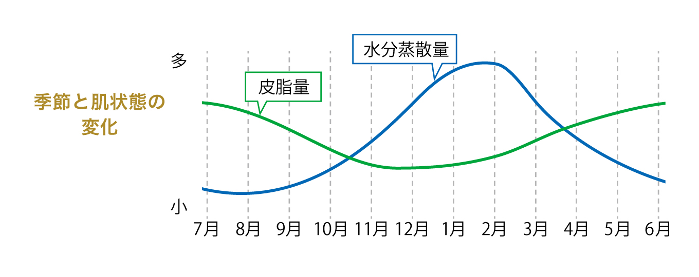 季節と肌状態の変化 グラフ