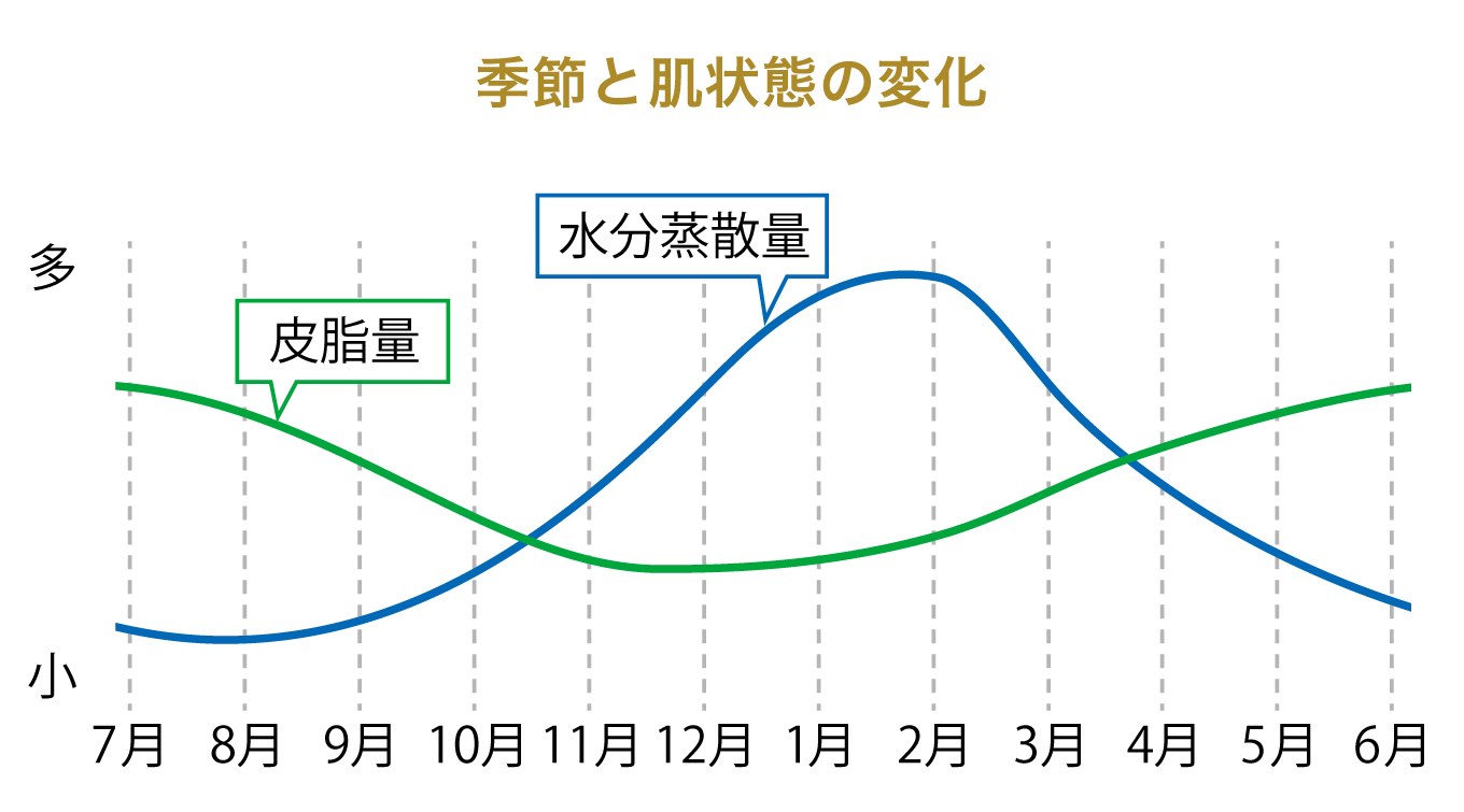 季節と肌状態の変化 グラフ