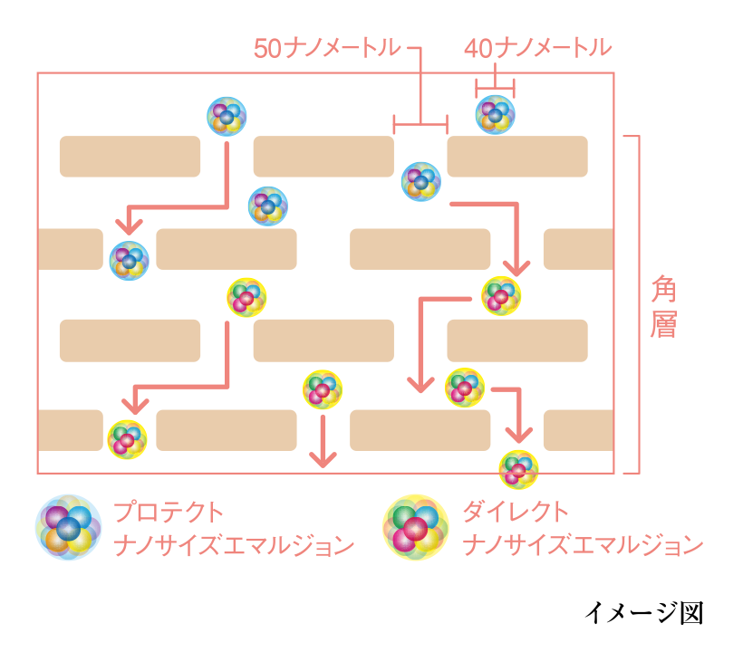 イメージ図