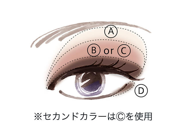 塗る場所と順番※セカンドカラーはcを使用