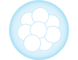 球状ソフトカバー成分