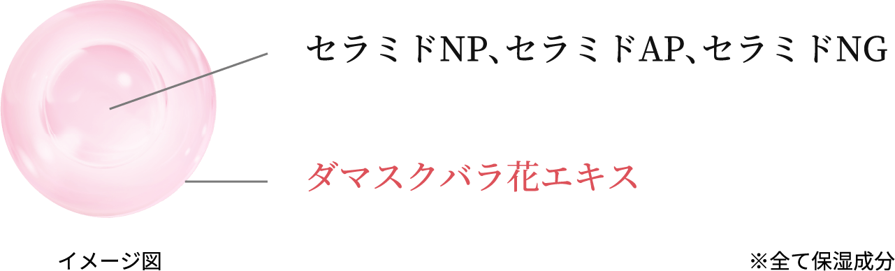 ローズセラミドRのイメージ図