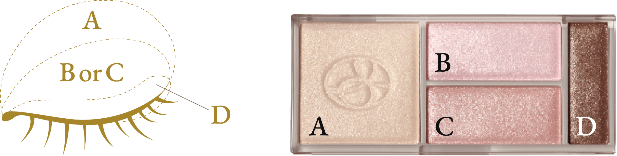 アイカラーのパレット